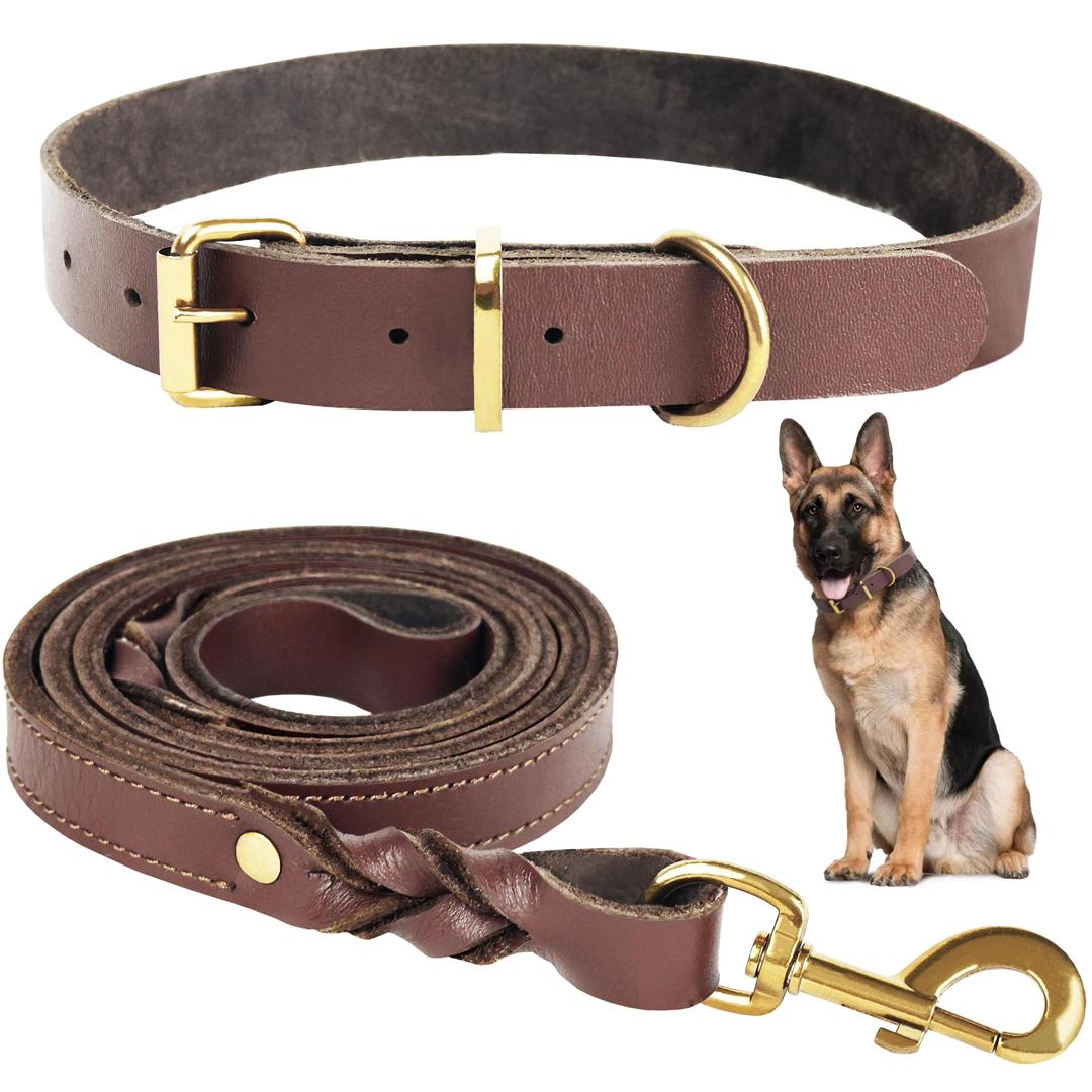 Premium Leather Collar & Leash Set